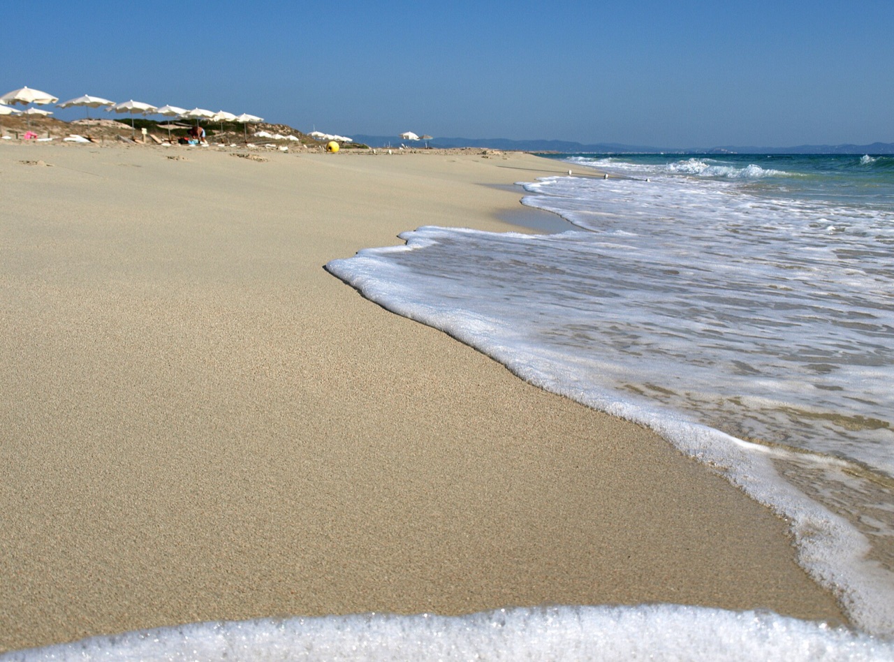 Orilla de Platja de Llevant, Formentera